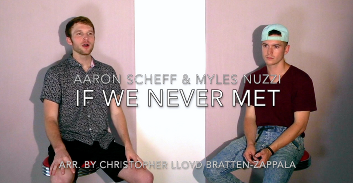If We Never Met